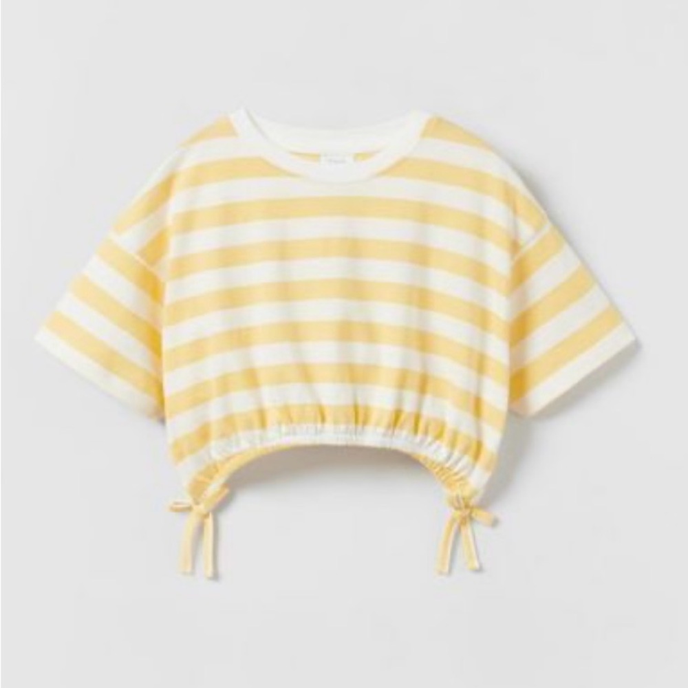 Zara Stripes Crop Top